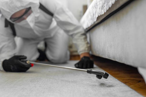 Professional Bed Bug Control technician working in Halifax County County, VA